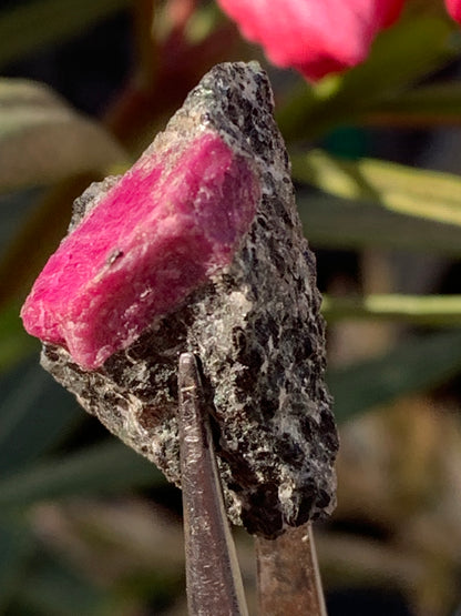 Rubis sur gangue de Zoisite, 24mm x20 x 18 - 7,1 grammes. Parfait en collection, exposition, lapidage...