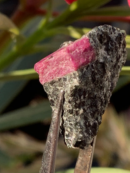Rubis sur gangue de Zoisite, 24mm x20 x 18 - 7,1 grammes. Parfait en collection, exposition, lapidage...