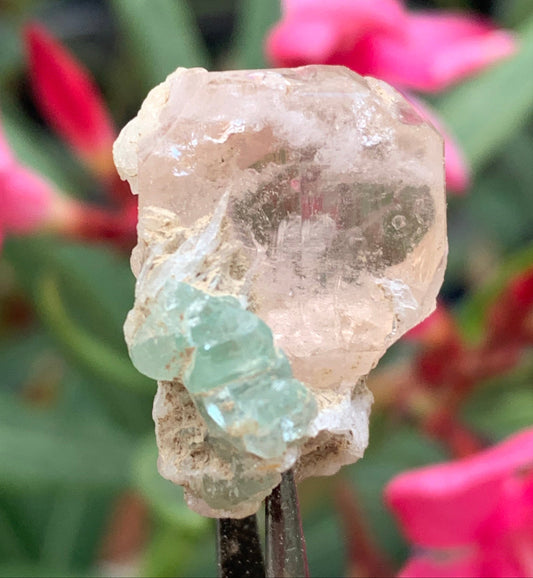 Topaze Impériale avec Aigue-marine, superbe cristal naturel de 25mm x18 x18 - 11,2 grammes. Belle pièce de collection, unique et assez rare !