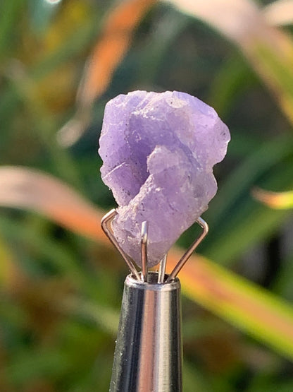 Tanzanite, pièce brute de 14mm x10 x8/ 1,4 gramme. Parfait en collection, bijouterie, exposition...