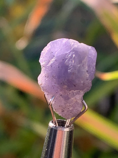 Tanzanite, pièce brute de 14mm x10 x8/ 1,4 gramme. Parfait en collection, bijouterie, exposition...