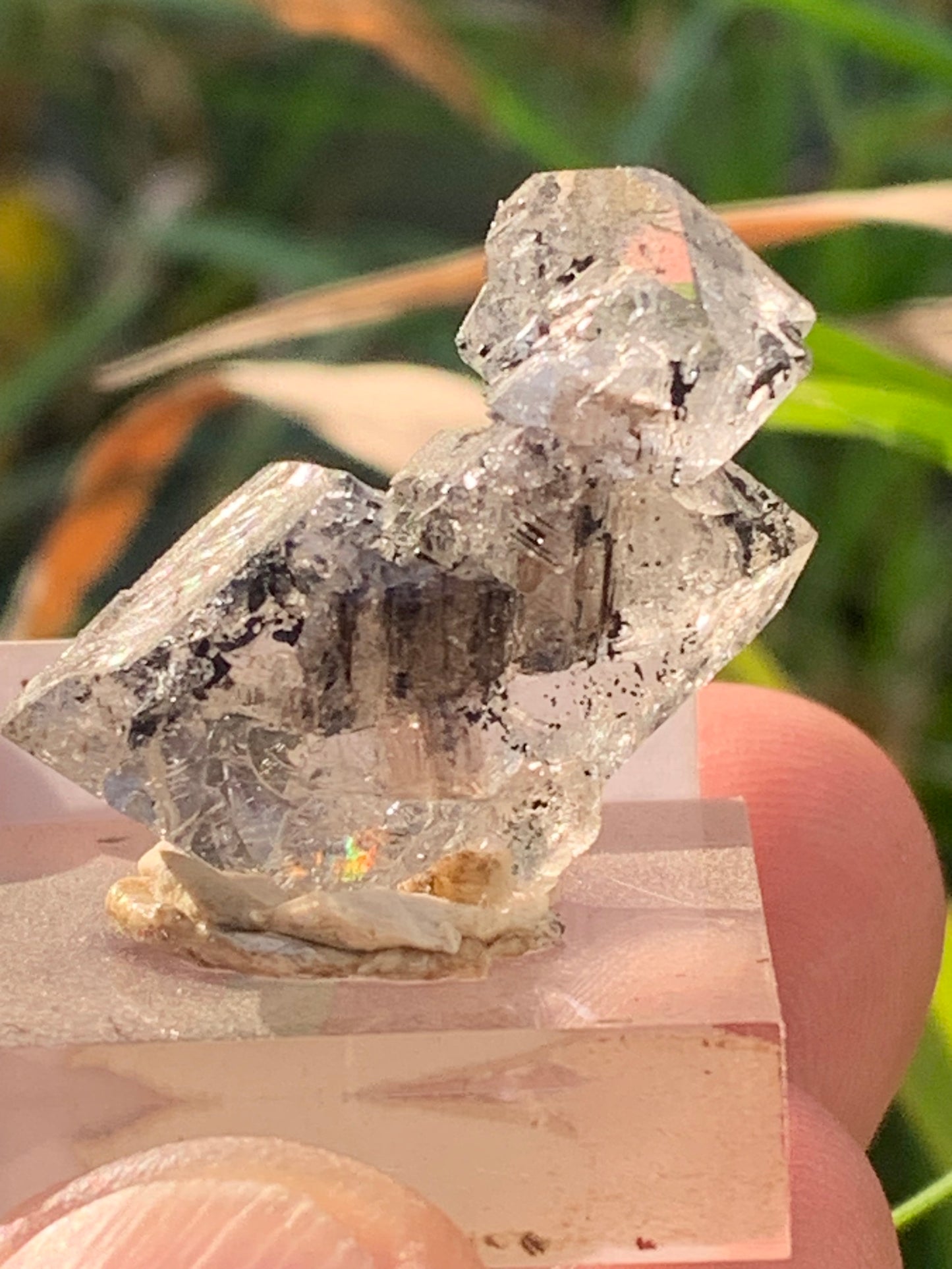 Cristal de roche/ Quartz Herkimer, pièce brute et naturelle, de 30mm x26 x14 - 8,3 grammes. Parfait en collection, exposition, lapidage..., spécimen brut de 32mm x21 x20 - 18 grammes. Parfait en collection, exposition, lapidage...