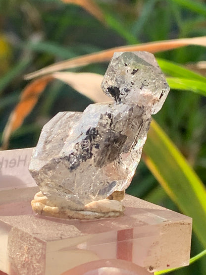 Cristal de roche/ Quartz Herkimer, pièce brute et naturelle, de 30mm x26 x14 - 8,3 grammes. Parfait en collection, exposition, lapidage..., spécimen brut de 32mm x21 x20 - 18 grammes. Parfait en collection, exposition, lapidage...