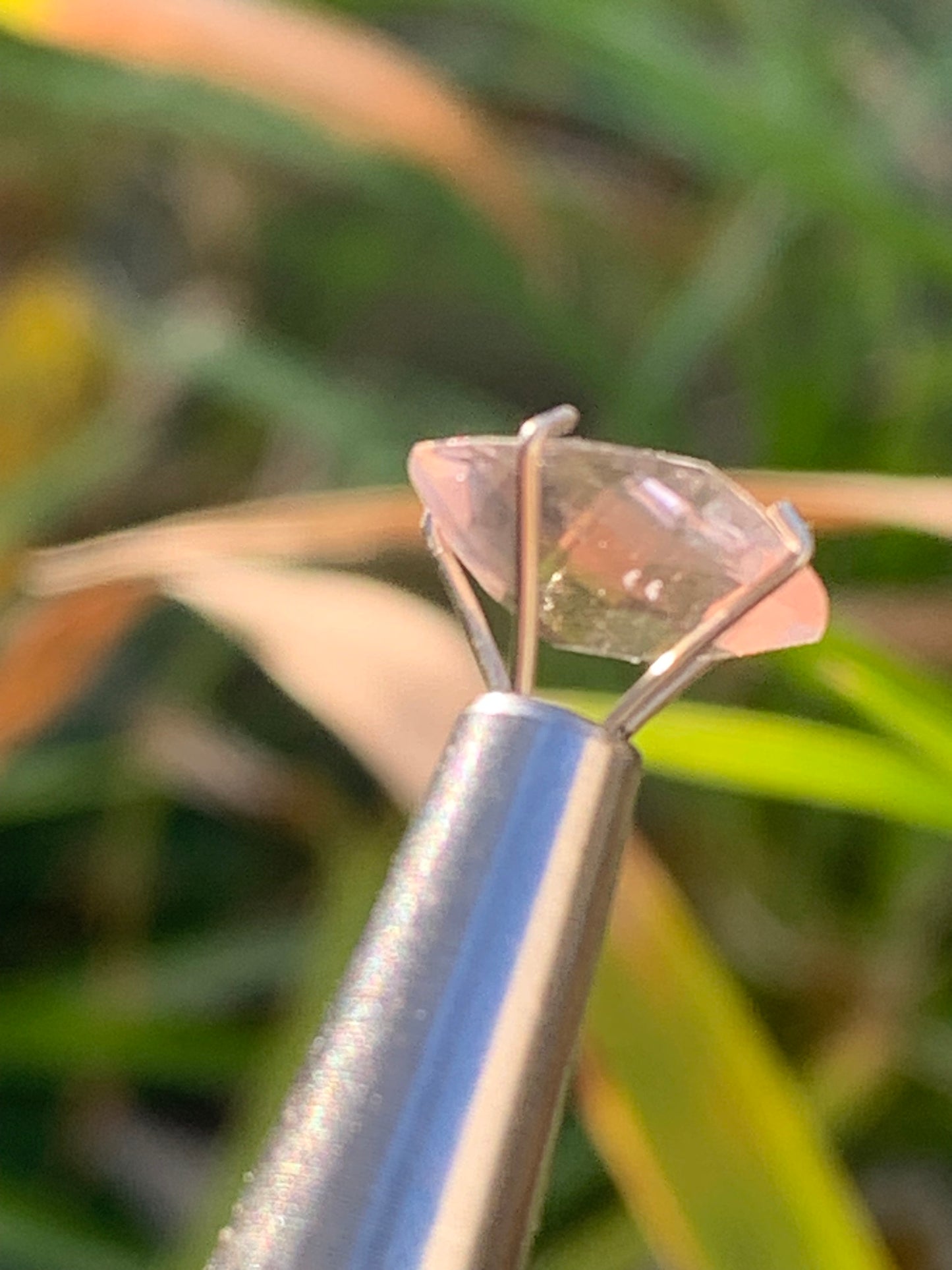 Morganite, pierre taillée de 10mm x10 x5 - 2,5 carats. Parfait en bijouterie, collection ,exposition...