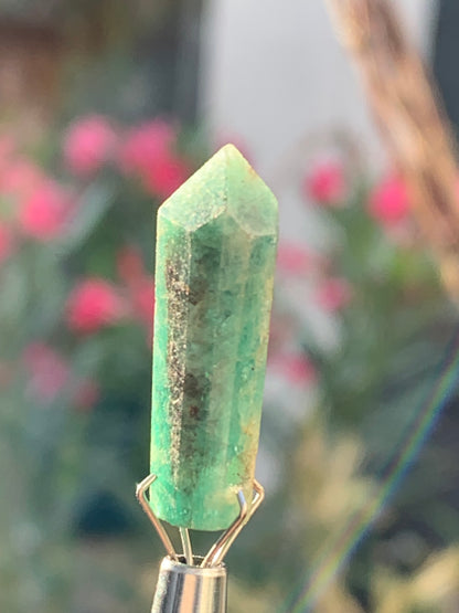 Émeraude, cristal taillé et percé de 25mm x8 x7 - 11,5 carats. Parfait en collection, bijouterie, exposition...