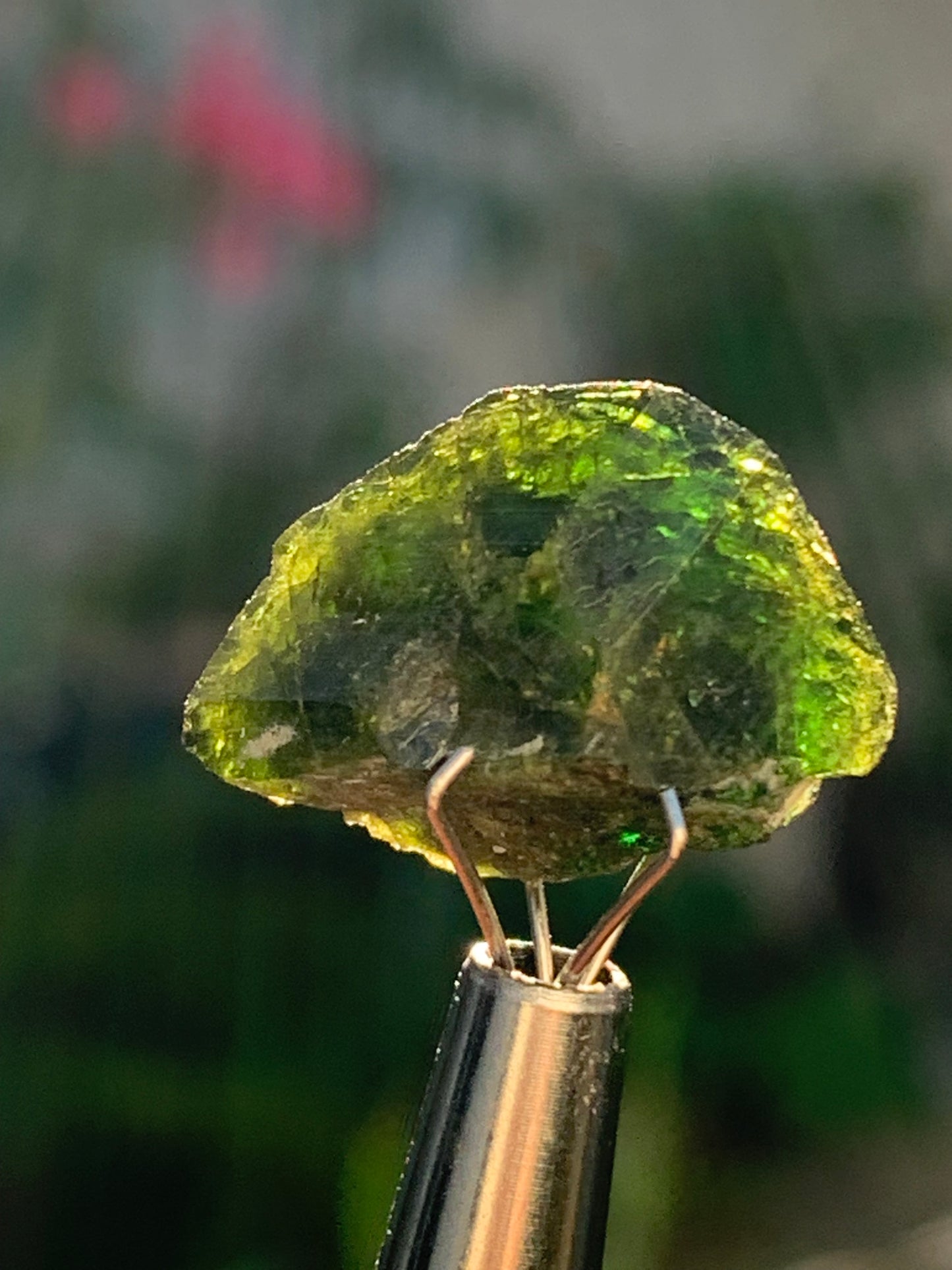 Vesuvianite also called Idocrase (little known), specimen of 19 mm x 14 x 8 - 2 grams! Superb little piece!