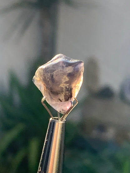 Cordiérite / Iolite, spècimen brute de 17mm x15 x14 - 3 grammes. Parfait pour la bijouterie, collection, exposition...