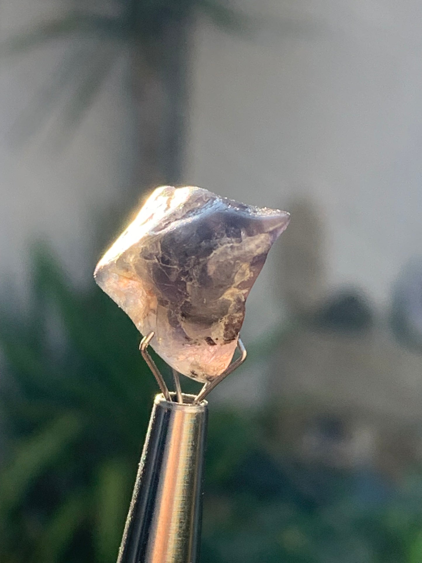 Cordiérite / Iolite, spècimen brute de 17mm x15 x14 - 3 grammes. Parfait pour la bijouterie, collection, exposition...
