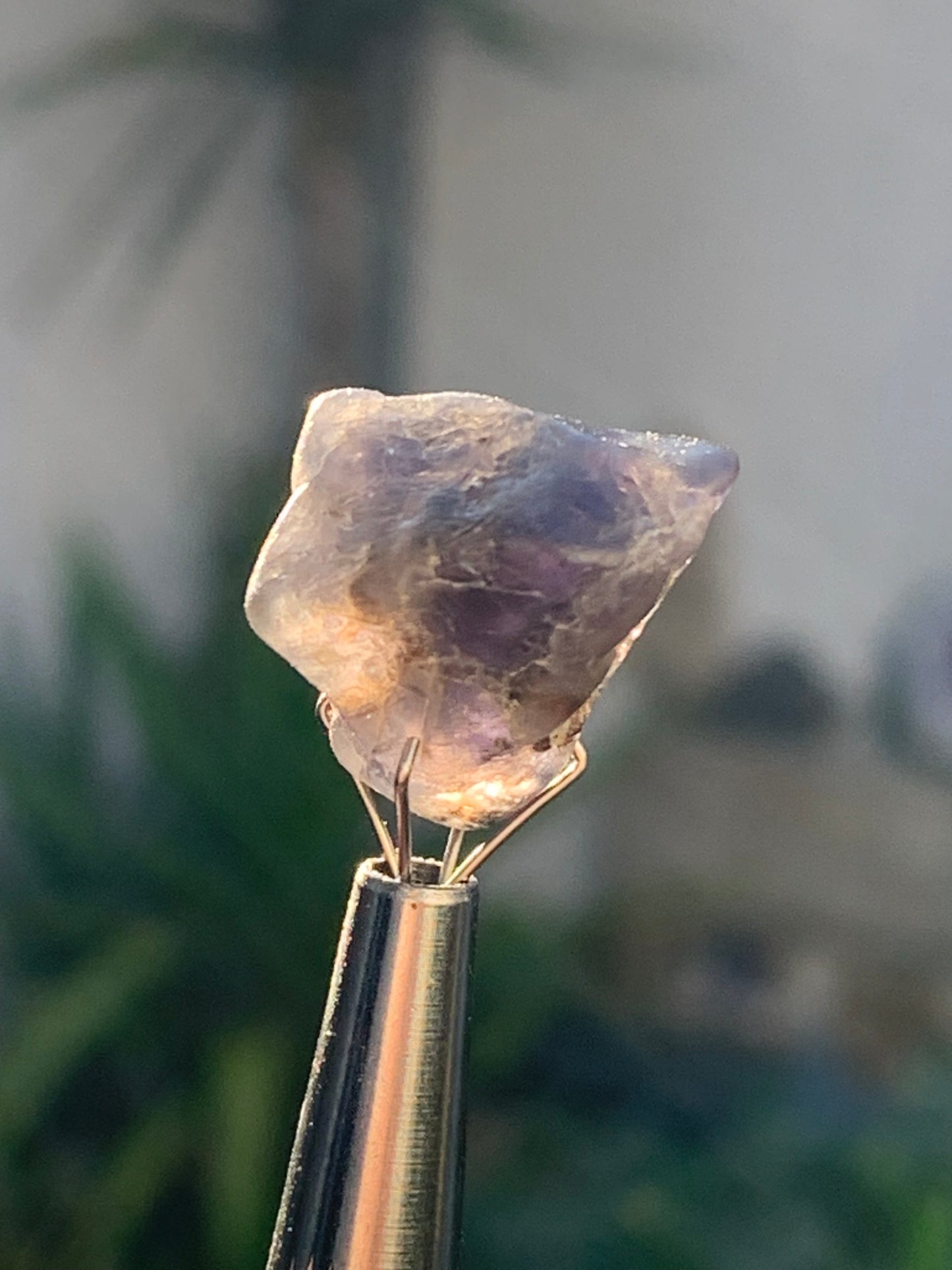 Cordiérite / Iolite, spècimen brute de 17mm x15 x14 - 3 grammes. Parfait pour la bijouterie, collection, exposition...