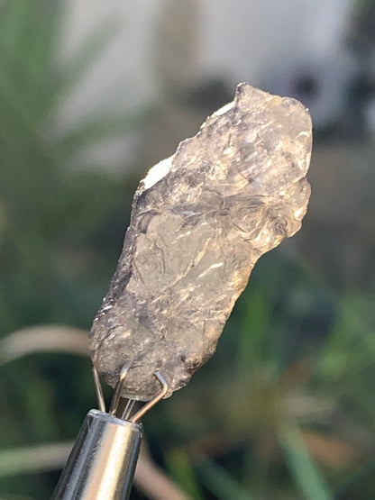 Cordiérite / Iolite, spècimen brute de 26mm x12 x - 1,8 grammes. Parfait pour la bijouterie, collection, exposition...