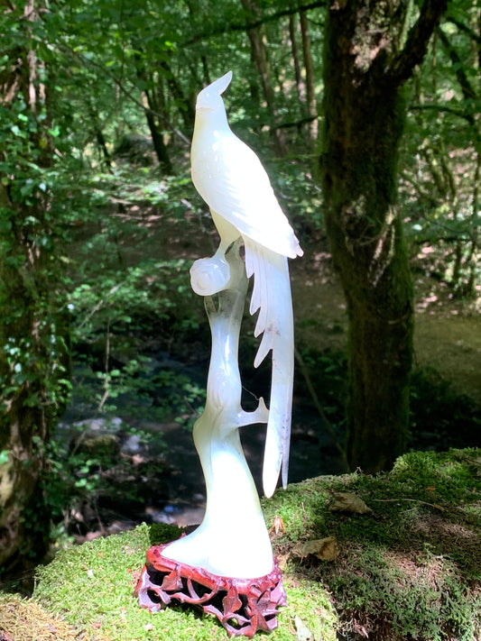 Jadéite, sculpture de Paon/ Faisan sur tronc. Sculpté à la main et base en bois ajouré. 28 centimètres de haut x 8 x 6,5. Période 20ème siécle, objet d'art rare, superbe et précieux !