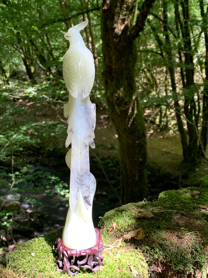 Jadéite, sculpture de Paon/ Faisan sur tronc. Sculpté à la main et base en bois ajouré. 28 centimètres de haut x 8 x 6,5. Période 20ème siécle, objet d'art rare, superbe et précieux !