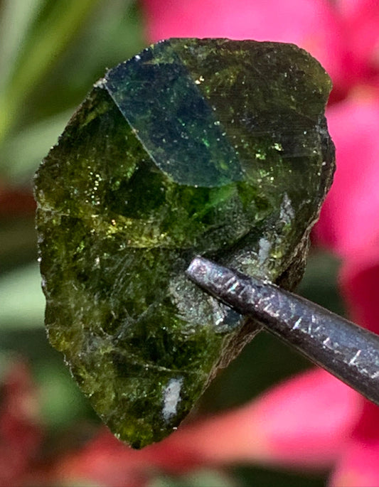 Vésuvianite dit aussi Idocrase (peu connue), spécimen de 19 mm x 14 x 8 - 2 grammes ! Superbe petite pièce !