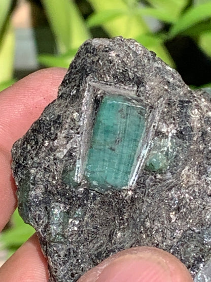 Émeraude, macle avec 2 belles pièces d'Emeraude de 75mm x 55 x 40 - 219 grammes. Parfait en collection, bijouterie, exposition...