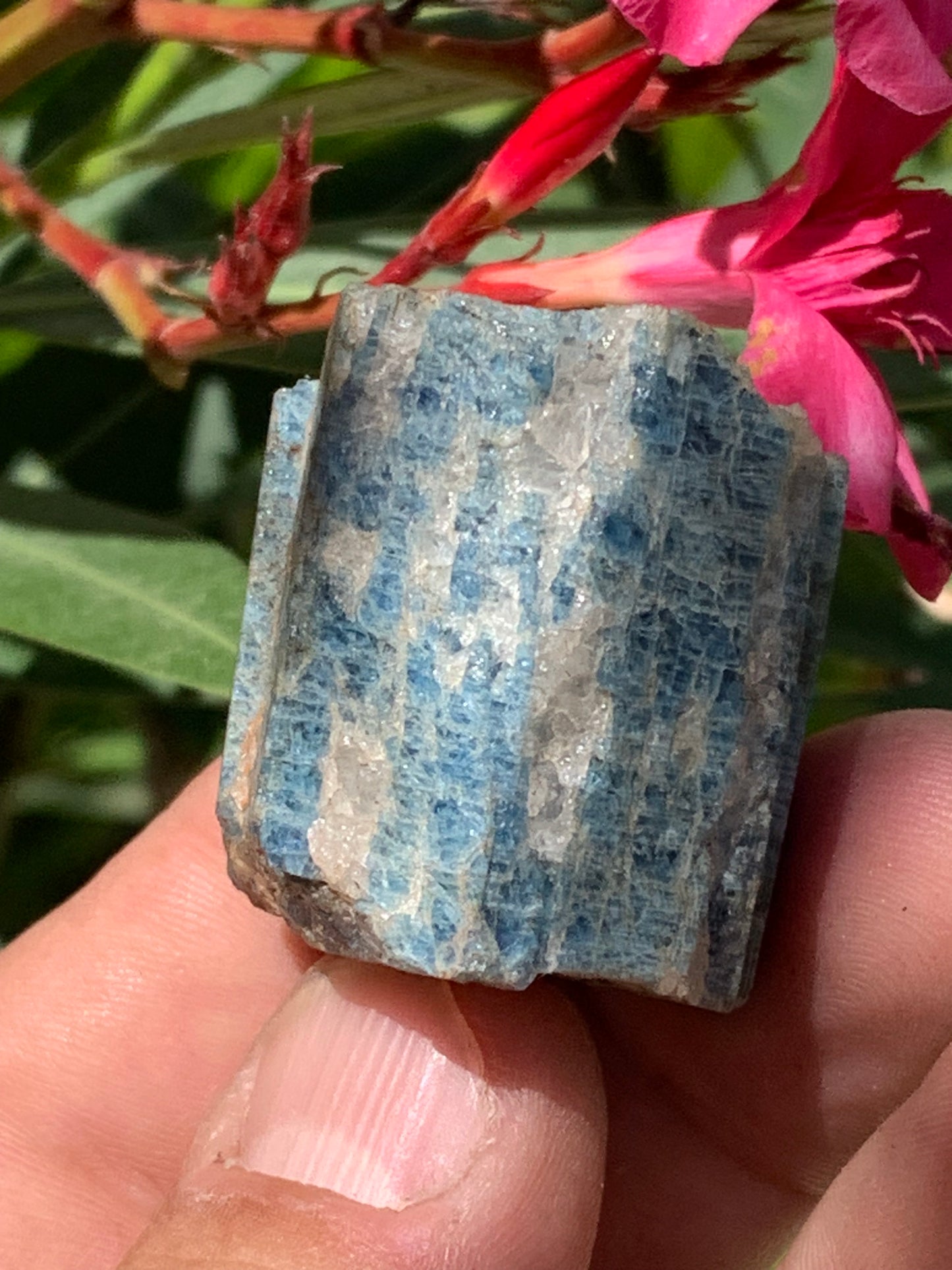 Béryl bleu, spécimen de 34mm x 32 x 30 - 49,3 grammes. Parfait en collection, exposition, lithothérapie...