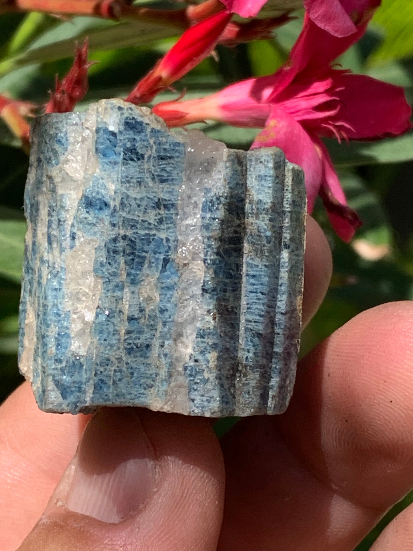 Béryl bleu, spécimen de 34mm x 32 x 30 - 49,3 grammes. Parfait en collection, exposition, lithothérapie...