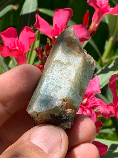 Béryl bleu, spécimen de 52mm x 26 x 23 - 52 grammes. Parfait en collection, exposition, lithothérapie...