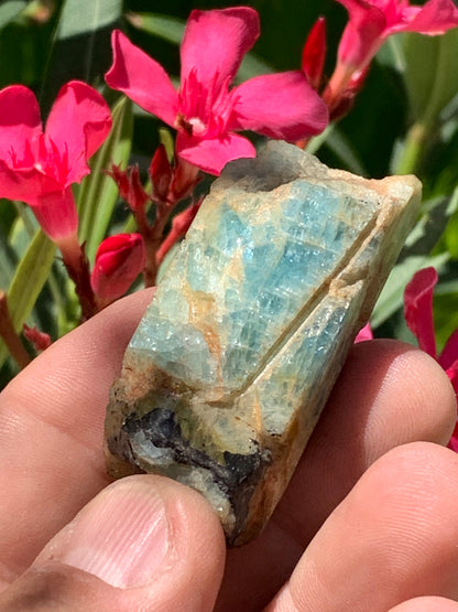 Béryl bleu, spécimen de 52mm x 26 x 23 - 52 grammes. Parfait en collection, exposition, lithothérapie...