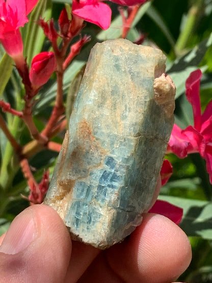 Béryl bleu, spécimen de 52mm x 26 x 23 - 52 grammes. Parfait en collection, exposition, lithothérapie...