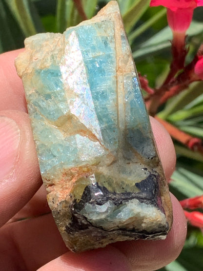 Béryl bleu, spécimen de 52mm x 26 x 23 - 52 grammes. Parfait en collection, exposition, lithothérapie...