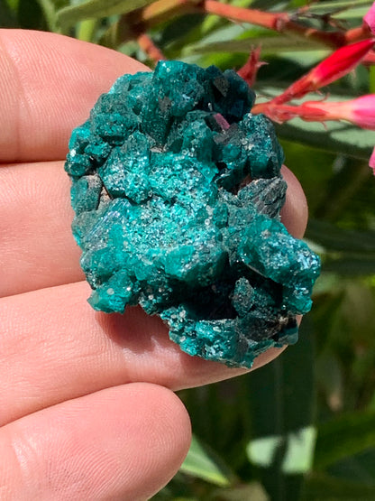 Dioptase, spécimen cristalisé de 46mm x 30 x 20 - 28 grammes ! Rare et puissante en minéralogie et lithothérapie !