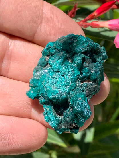 Dioptase, spécimen cristalisé de 46mm x 30 x 20 - 28 grammes ! Rare et puissante en minéralogie et lithothérapie !