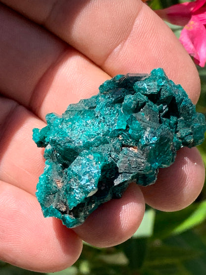Dioptase, spécimen cristalisé de 46mm x 30 x 20 - 28 grammes ! Rare et puissante en minéralogie et lithothérapie !