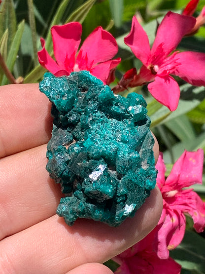 Dioptase, spécimen cristalisé de 46mm x 30 x 20 - 28 grammes ! Rare et puissante en minéralogie et lithothérapie !