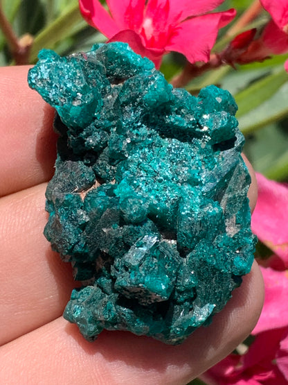 Dioptase, spécimen cristalisé de 46mm x 30 x 20 - 28 grammes ! Rare et puissante en minéralogie et lithothérapie !