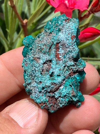 Dioptase, spécimen cristalisé de 46mm x 30 x 20 - 28 grammes ! Rare et puissante en minéralogie et lithothérapie !