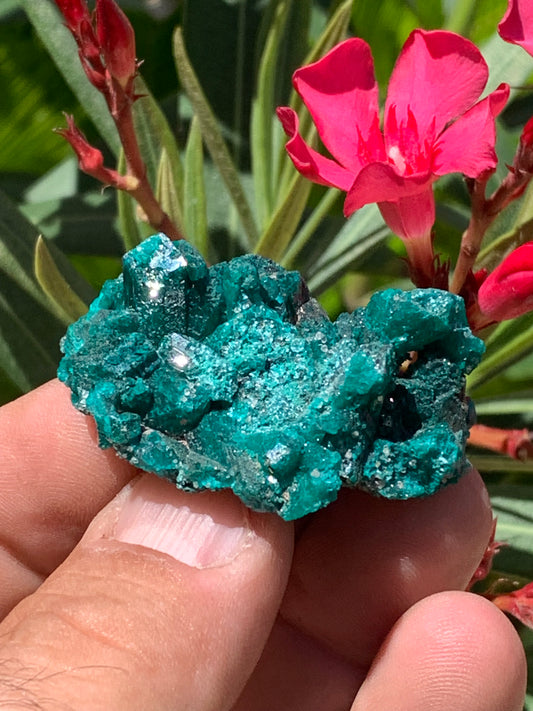 Dioptase, spécimen cristalisé de 46mm x 30 x 20 - 28 grammes ! Rare et puissante en minéralogie et lithothérapie !