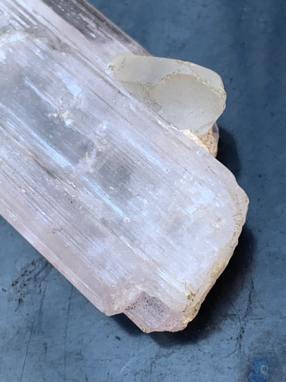 Kunzite avec cristal de roche naissant, spècimen XL (rare) de 100mm x25 x 14 - 54,3 grammes !