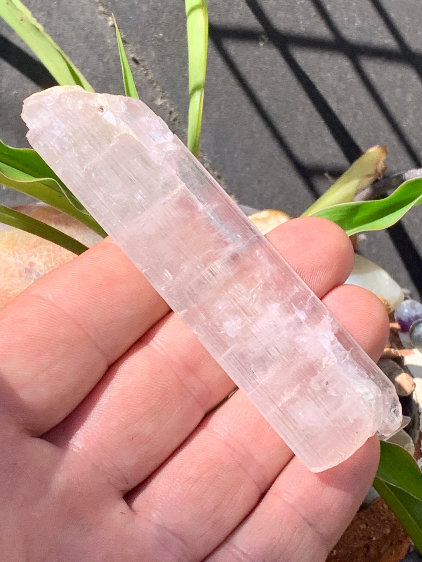 Kunzite avec cristal de roche naissant, spècimen XL (rare) de 100mm x25 x 14 - 54,3 grammes !