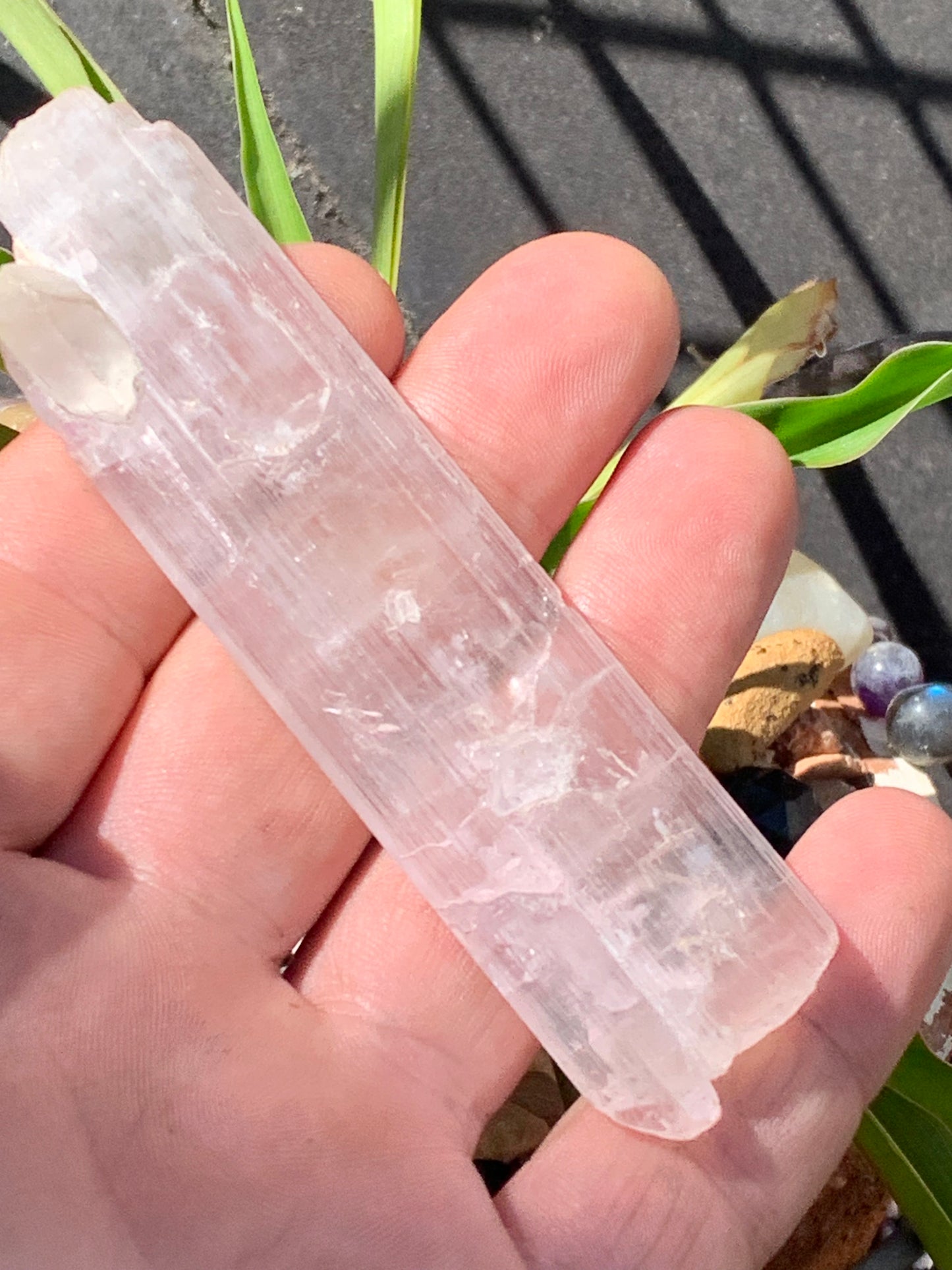 Kunzite avec cristal de roche naissant, spècimen XL (rare) de 100mm x25 x 14 - 54,3 grammes !