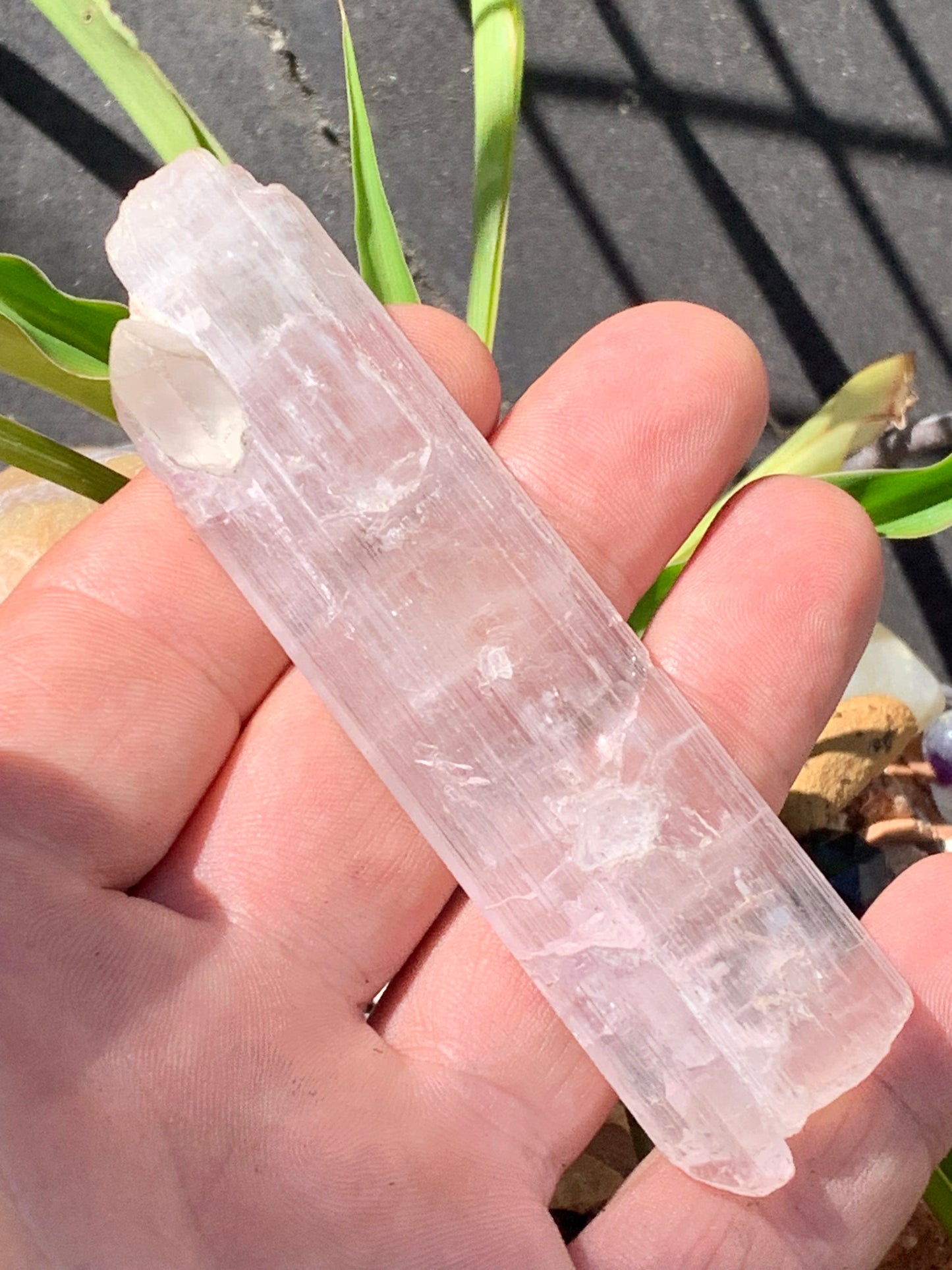Kunzite avec cristal de roche naissant, spècimen XL (rare) de 100mm x25 x 14 - 54,3 grammes !