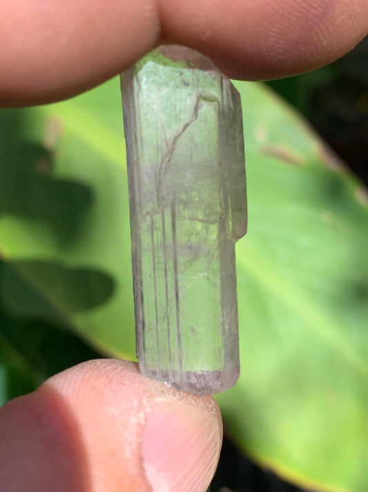 Kunzite, spècimen de 35mm x12 x 8 - 7,3 grammes. Parfait pour la bijouterie, collection, exposition...