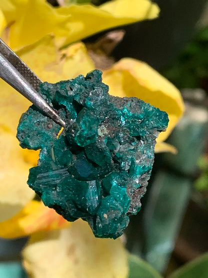 Dioptase, spécimen cristalisé de 32mm x 26 x 14 - 7,8 grammes ! Rare et puissante en minéralogie et lithothérapie !