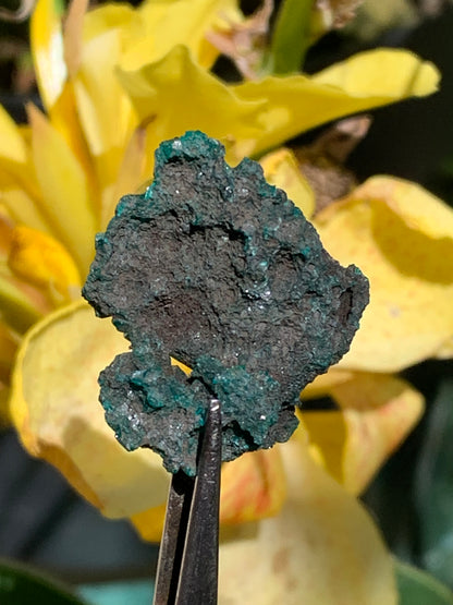 Dioptase, spécimen cristalisé de 32mm x 26 x 14 - 7,8 grammes ! Rare et puissante en minéralogie et lithothérapie !