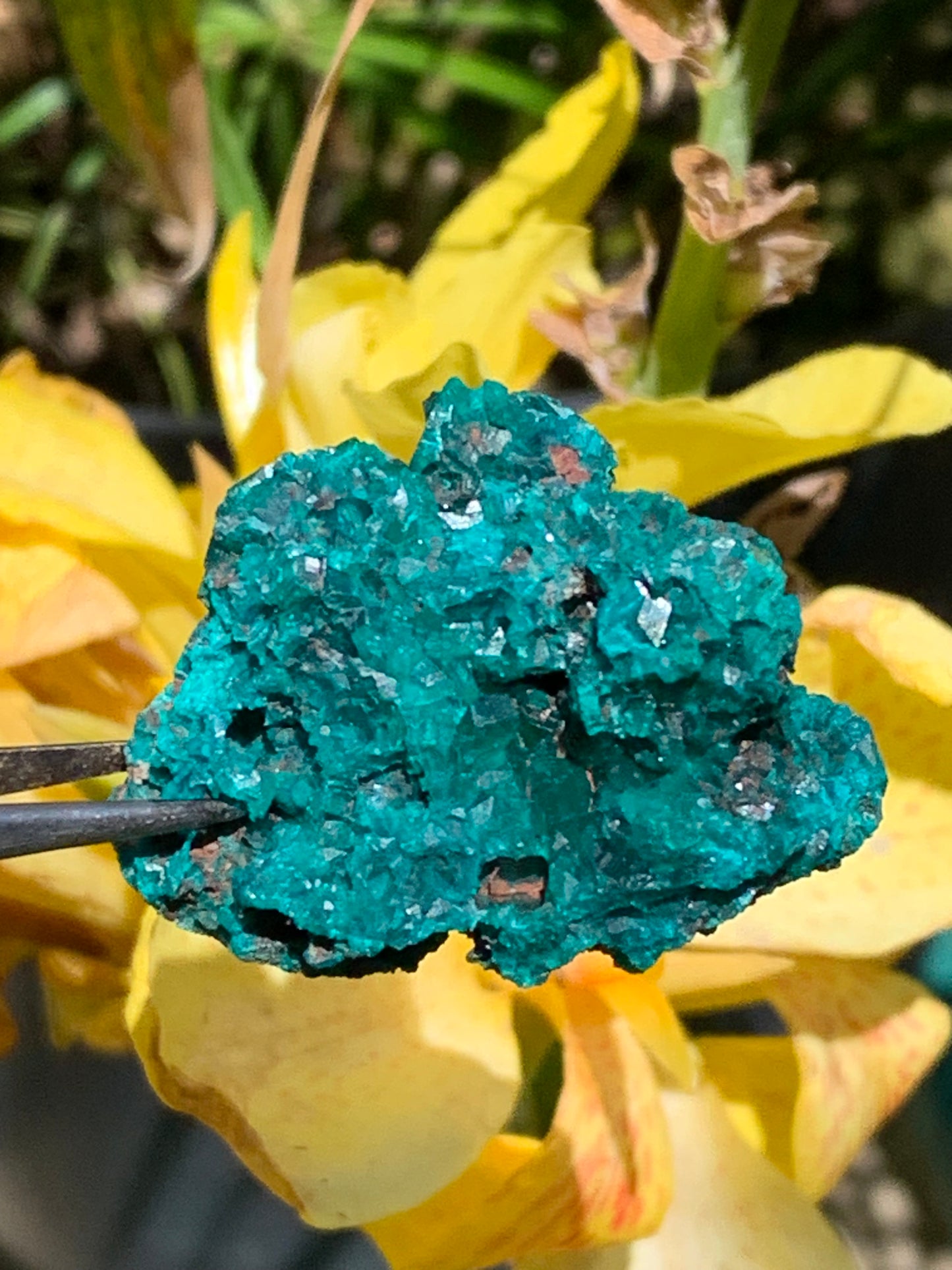 Dioptase, spécimen cristalisé de 42mm x 27 x 27 - 28 grammes ! Rare et puissante en minéralogie et lithothérapie !