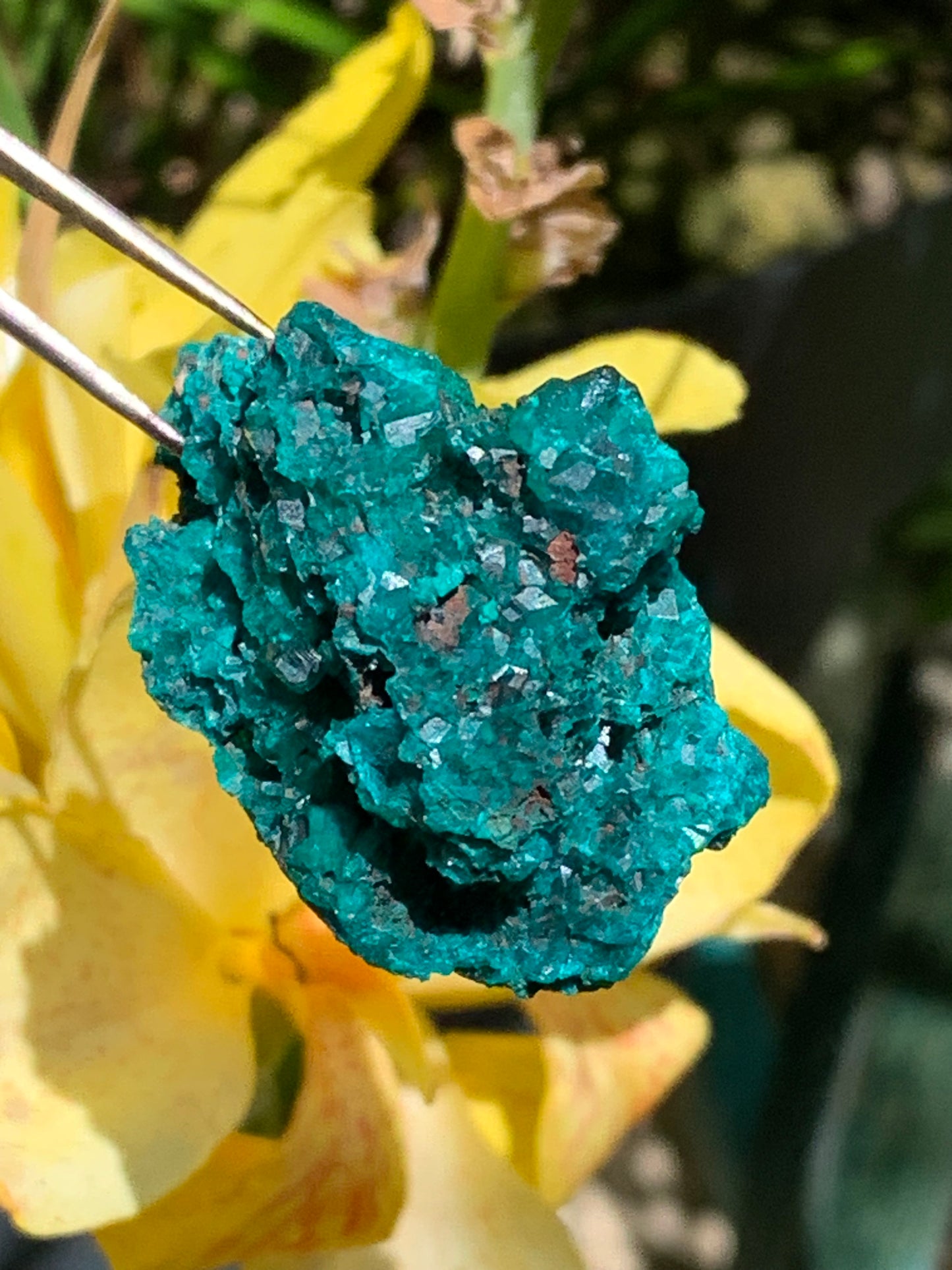 Dioptase, spécimen cristalisé de 42mm x 27 x 27 - 28 grammes ! Rare et puissante en minéralogie et lithothérapie !