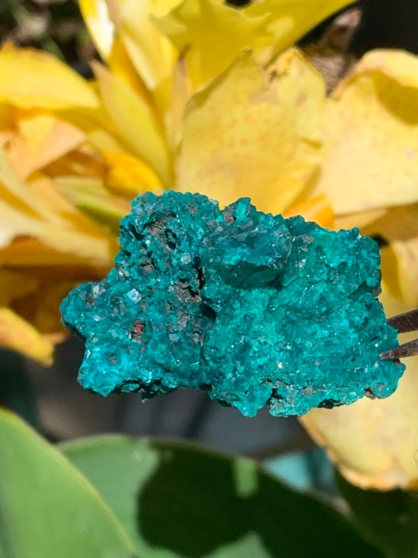 Dioptase, spécimen cristalisé de 42mm x 27 x 27 - 28 grammes ! Rare et puissante en minéralogie et lithothérapie !