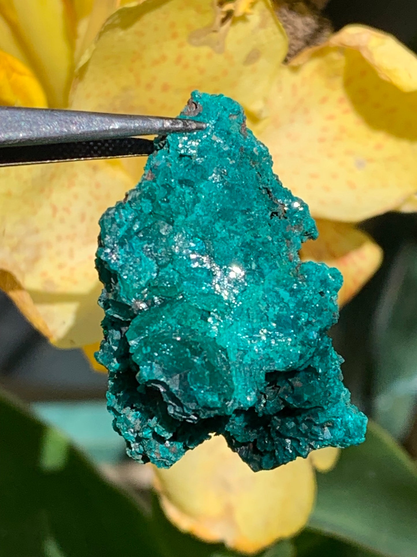 Dioptase, spécimen cristalisé de 42mm x 27 x 27 - 28 grammes ! Rare et puissante en minéralogie et lithothérapie !