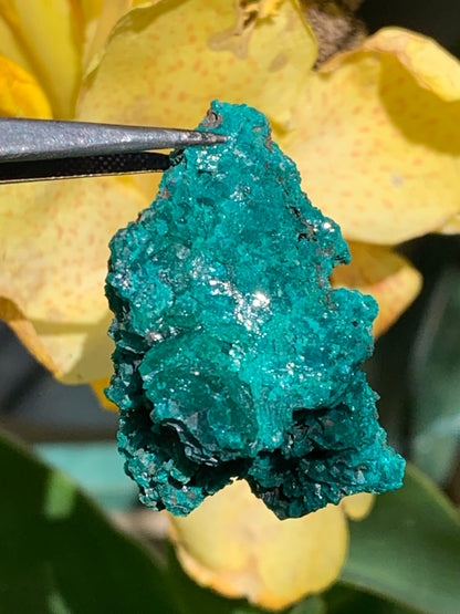 Dioptase, spécimen cristalisé de 42mm x 27 x 27 - 28 grammes ! Rare et puissante en minéralogie et lithothérapie !