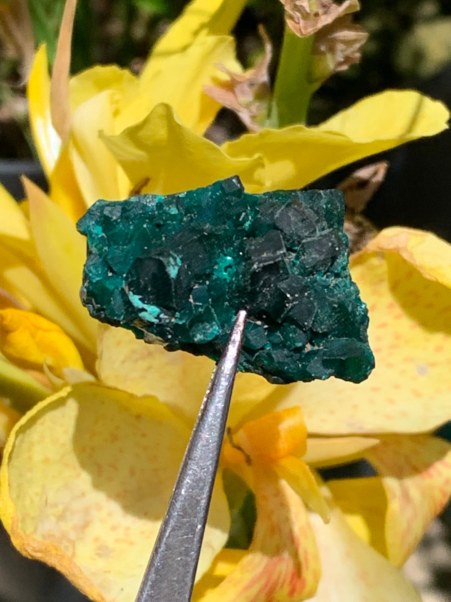 Dioptase, spécimen cristalisé de 34mm x 20 x 14 - 10,2 grammes ! Rare et puissante en minéralogie et lithothérapie !