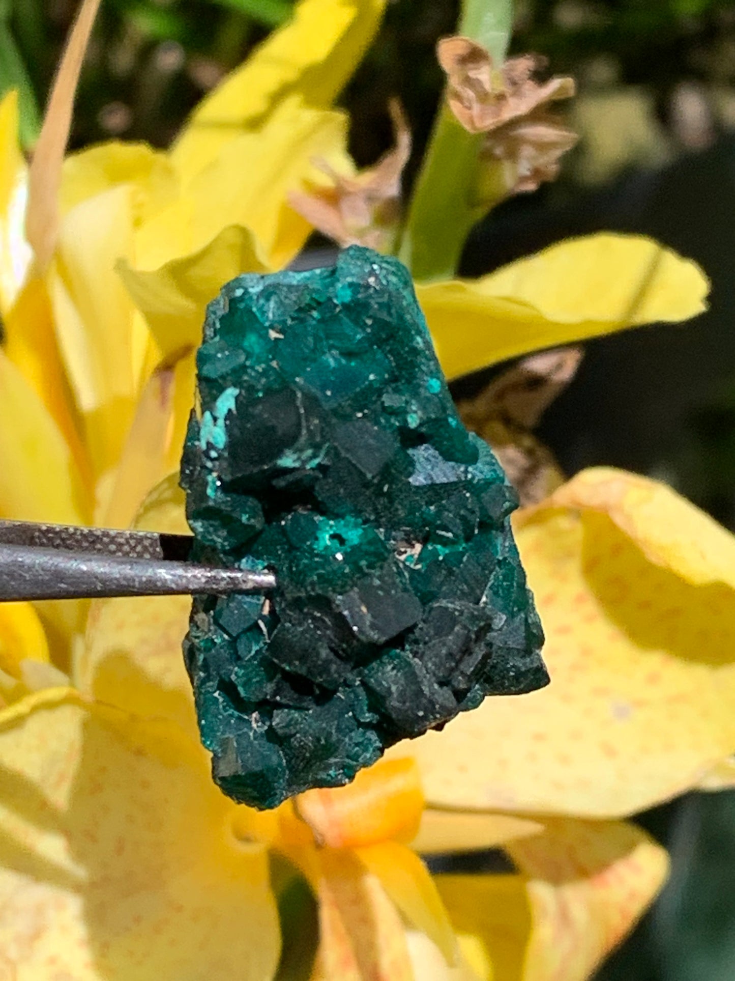 Dioptase, spécimen cristalisé de 34mm x 20 x 14 - 10,2 grammes ! Rare et puissante en minéralogie et lithothérapie !