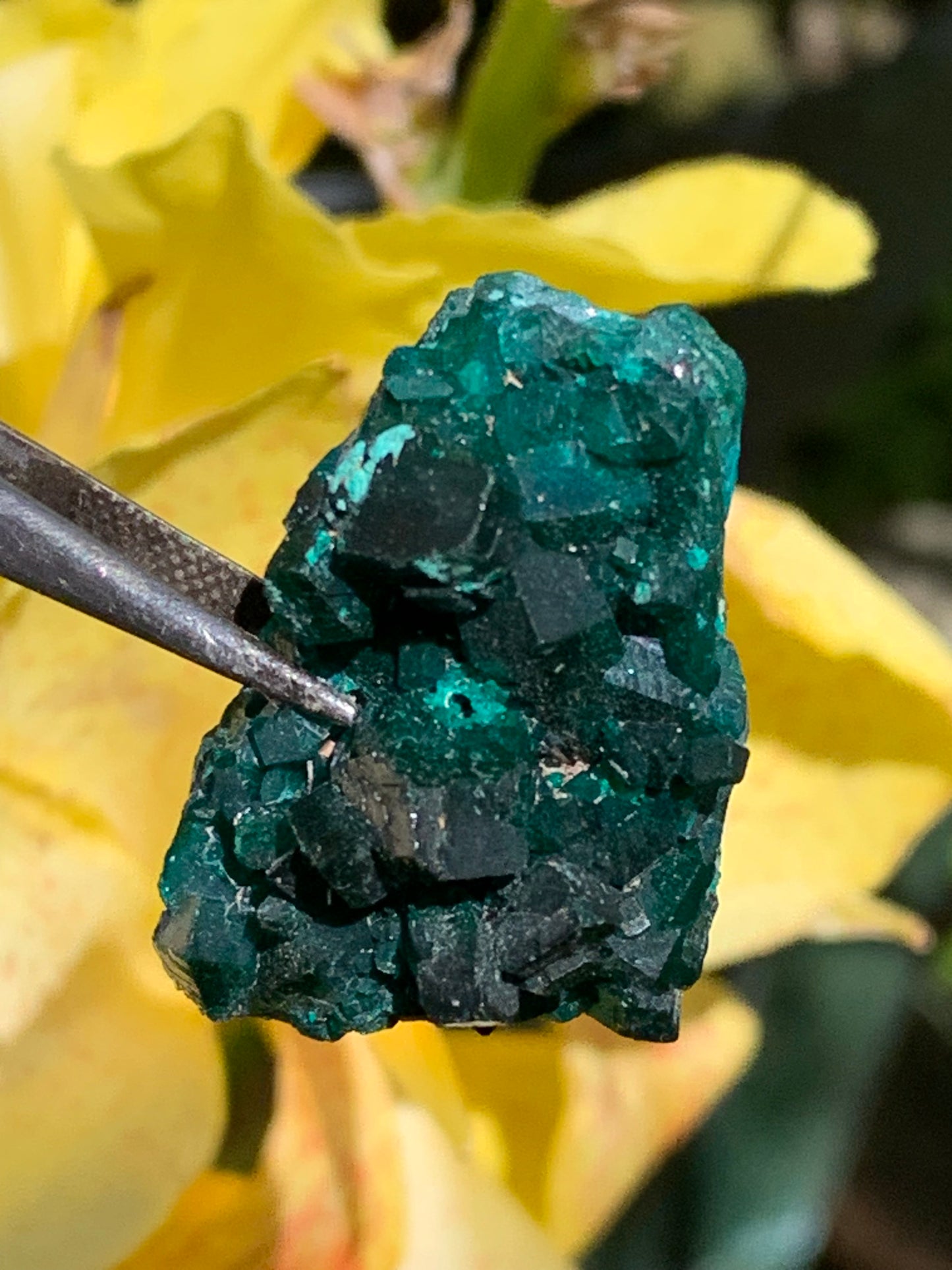Dioptase, spécimen cristalisé de 34mm x 20 x 14 - 10,2 grammes ! Rare et puissante en minéralogie et lithothérapie !