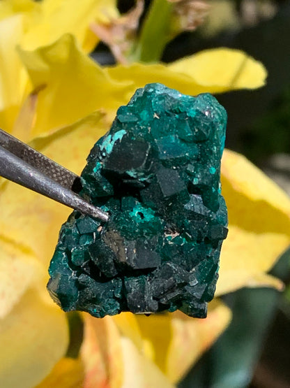 Dioptase, spécimen cristalisé de 34mm x 20 x 14 - 10,2 grammes ! Rare et puissante en minéralogie et lithothérapie !