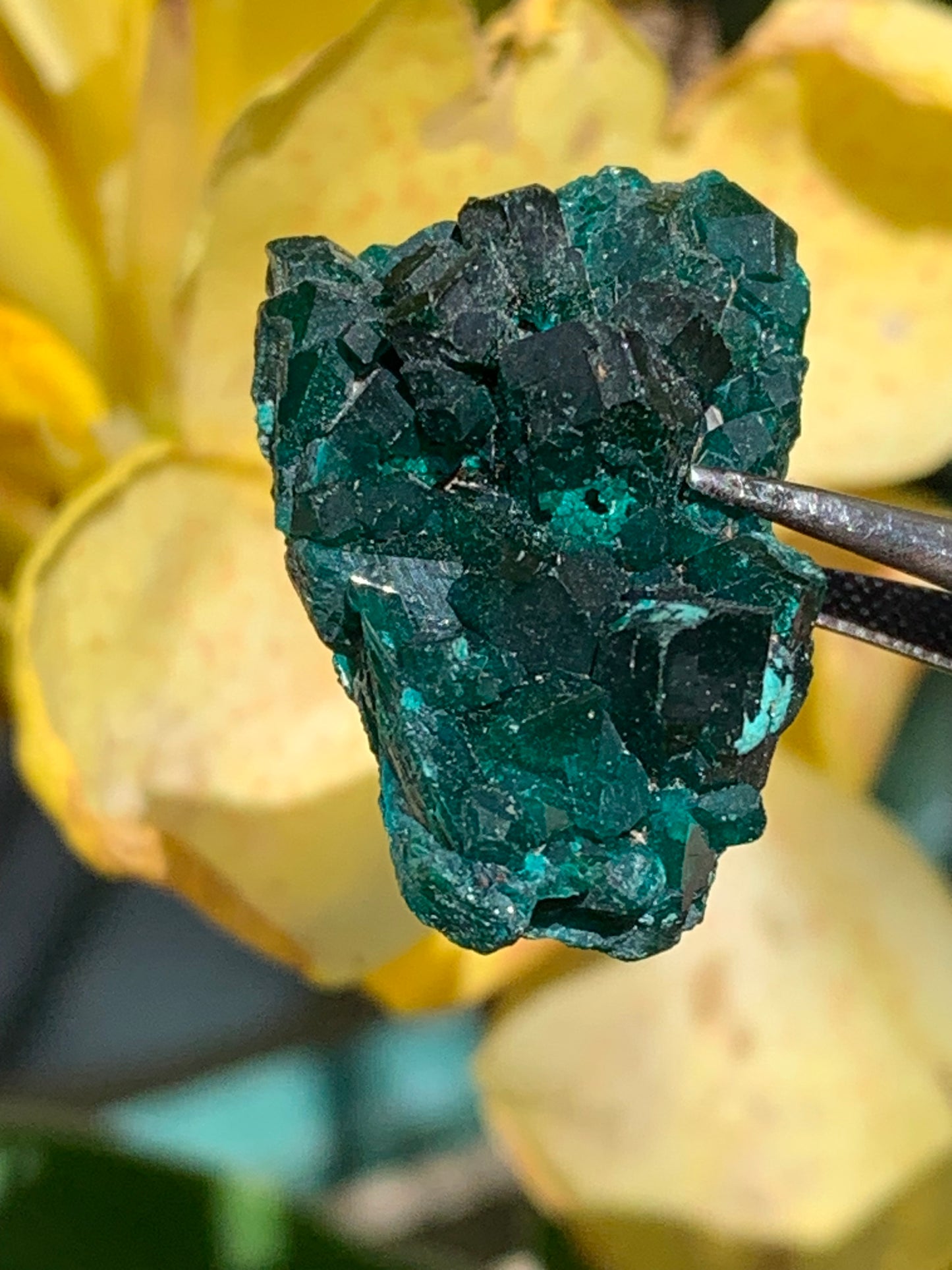Dioptase, spécimen cristalisé de 34mm x 20 x 14 - 10,2 grammes ! Rare et puissante en minéralogie et lithothérapie !