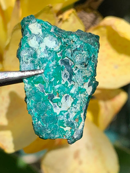 Dioptase, spécimen cristalisé de 34mm x 20 x 14 - 10,2 grammes ! Rare et puissante en minéralogie et lithothérapie !