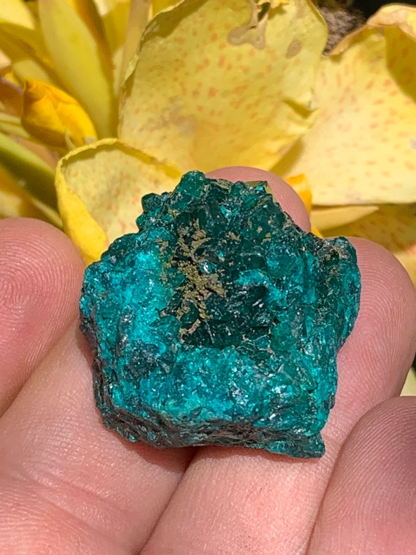 Dioptase, spécimen cristalisé de 32mm x 30 x 24 - 31,3 grammes ! Rare et puissante en minéralogie et lithothérapie !